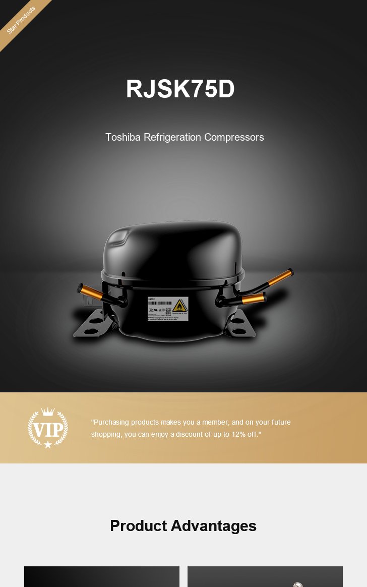 Toshiba Compressor RJSK75D, technical parameters pdf, structure diagram